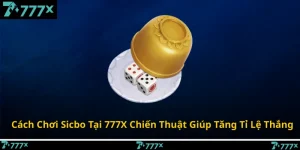 Cách Chơi Sicbo Tại 777X Chiến Thuật Giúp Tăng Tỉ Lệ Thắng